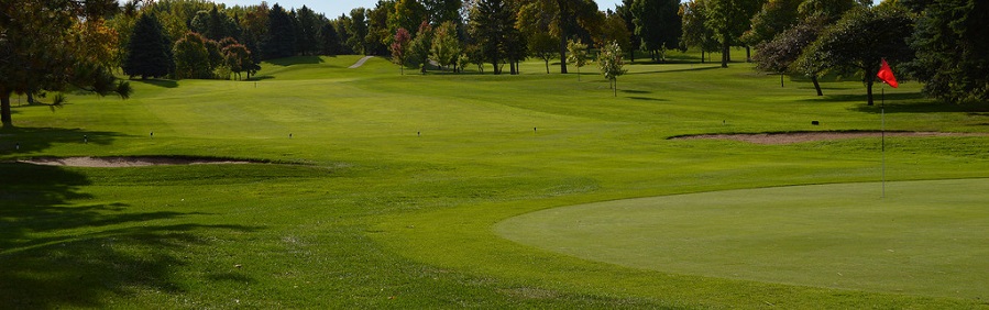 Annual Johnson Cup Golf Tournament